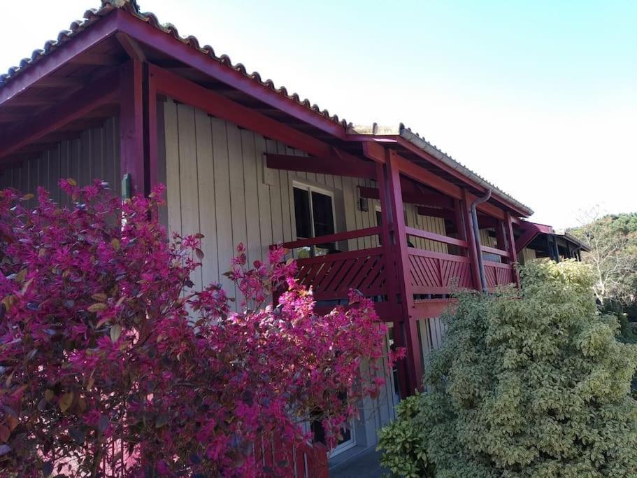 Appartement Le Daoun Dunes, Pins Ocean Et Golf Moliets-et-Maa Exterior foto